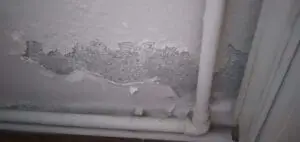 WhatsApp Image 2025-02-21 at 16.41.20 (1)