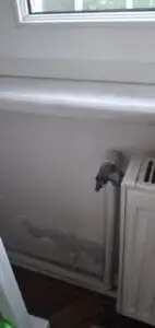 WhatsApp Image 2025-02-21 at 16.41.20 (2)