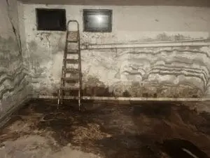 WhatsApp Image 2025-02-21 at 16.41.20 (3)