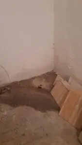 WhatsApp Image 2025-02-21 at 16.41.21 (1)