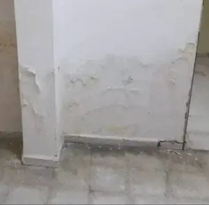 WhatsApp Image 2025-02-21 at 16.41.21